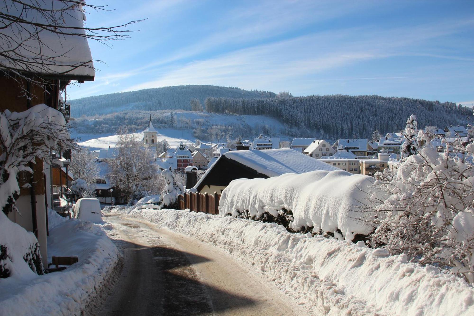 Ferienwohnung Sommerberg, Lenzkirch, Hochschwarzwaldkarte, 2 Schlafzimmer Exterior foto
