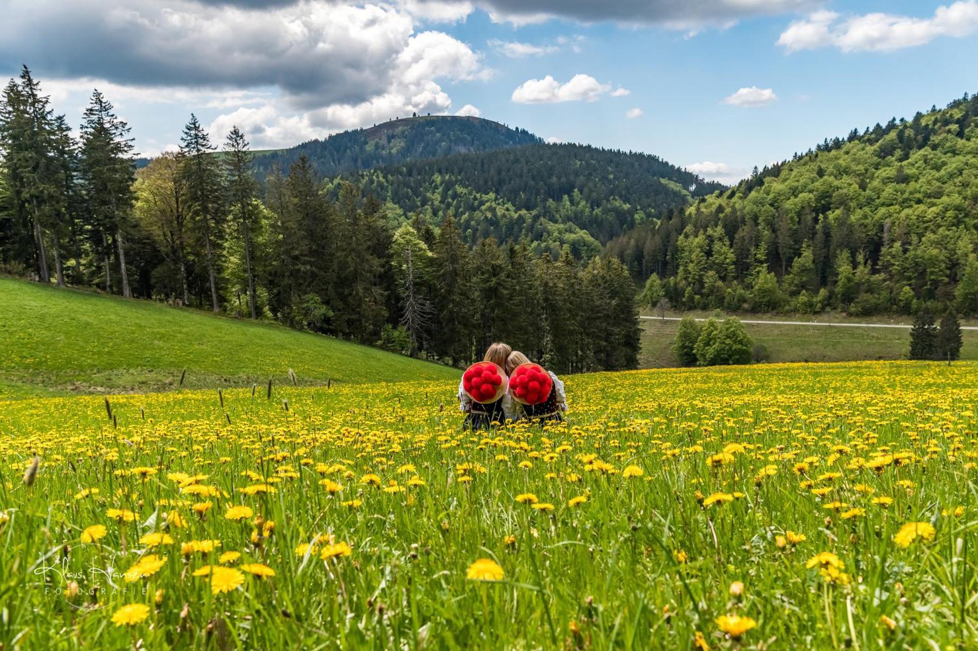 Ferienwohnung Sommerberg, Lenzkirch, Hochschwarzwaldkarte, 2 Schlafzimmer Exterior foto